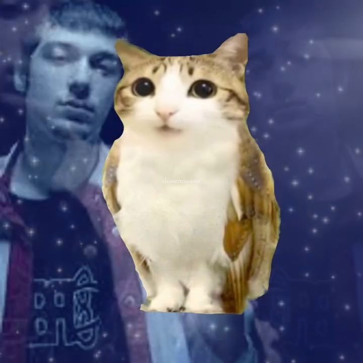 sansar salvo yerinde duramayan adam